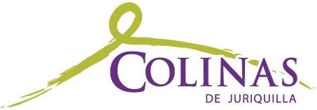 URBANIZACION, FRACCIONAMIENTO, SUPERVISION